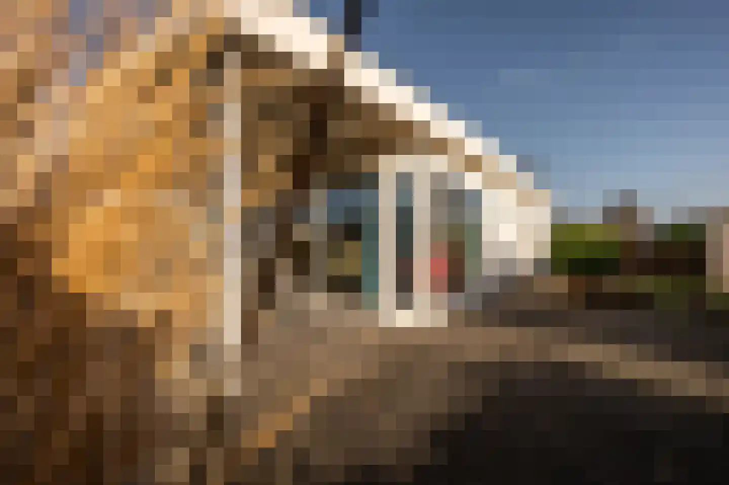 Schoneveld 1 H 178 Breskens thumbnail 22