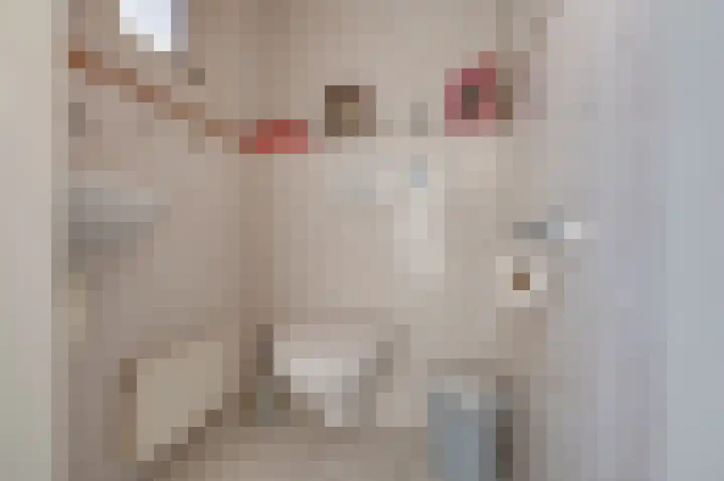 Schoneveld 1 H 178 Breskens thumbnail 8