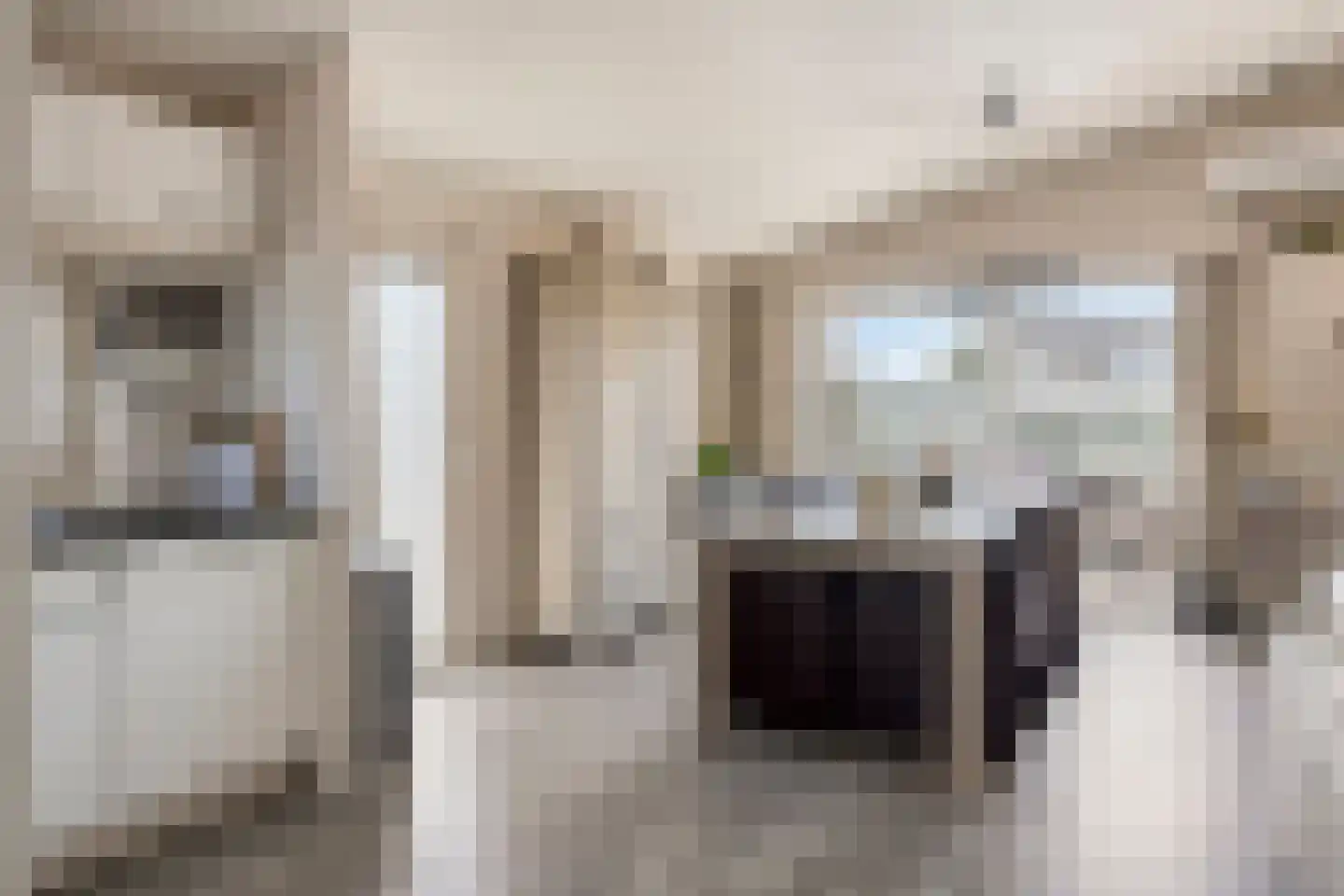 Schoneveld 1 I 222 Breskens thumbnail 10