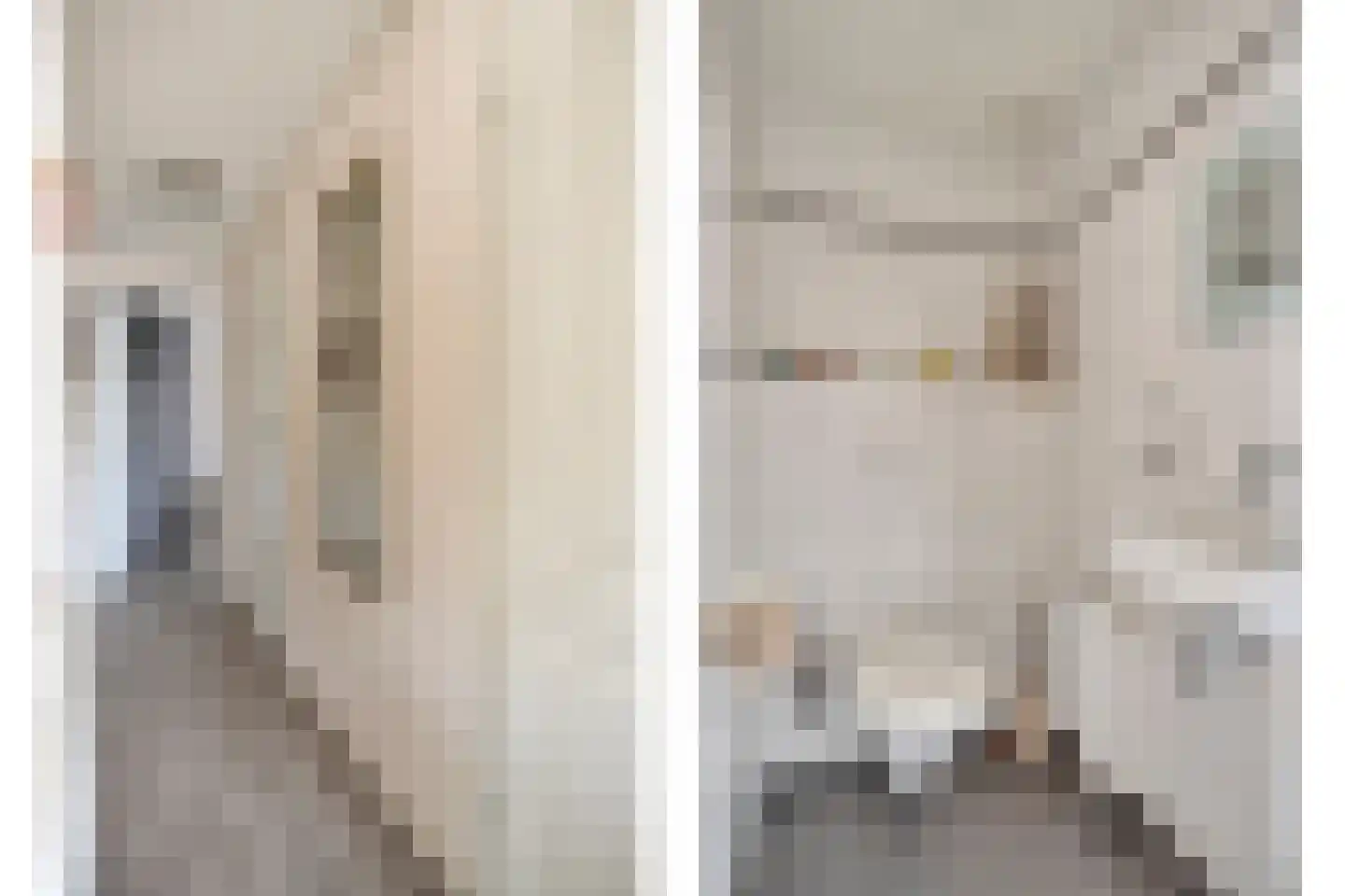 Schoneveld 1 I 222 Breskens thumbnail 13