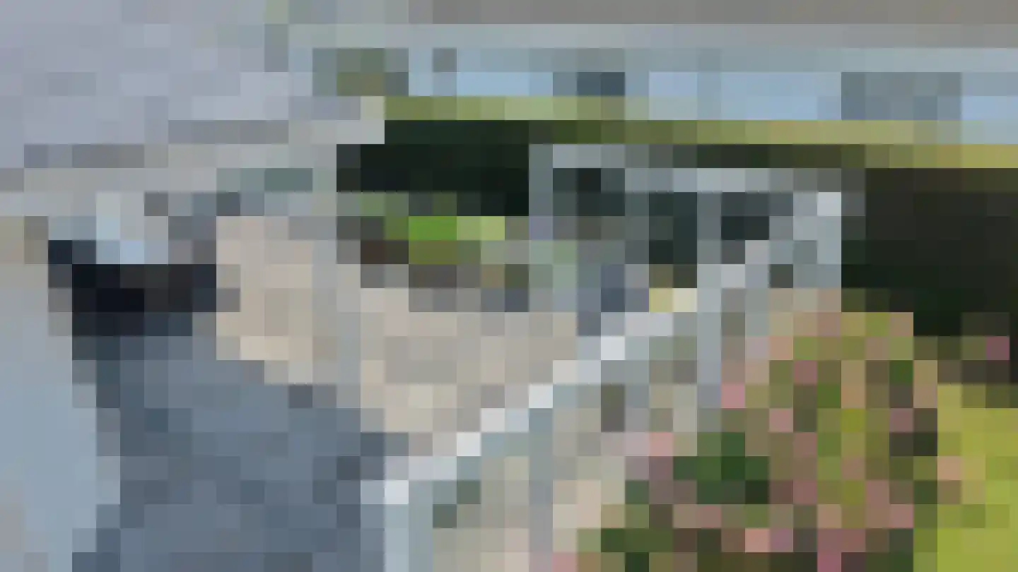 Schoneveld 1 I 222 Breskens thumbnail 22