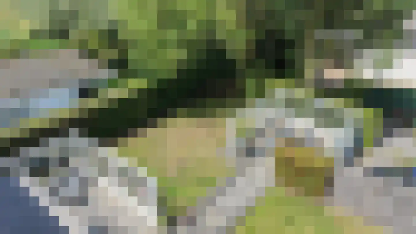 Schoneveld 1 I 222 Breskens thumbnail 26