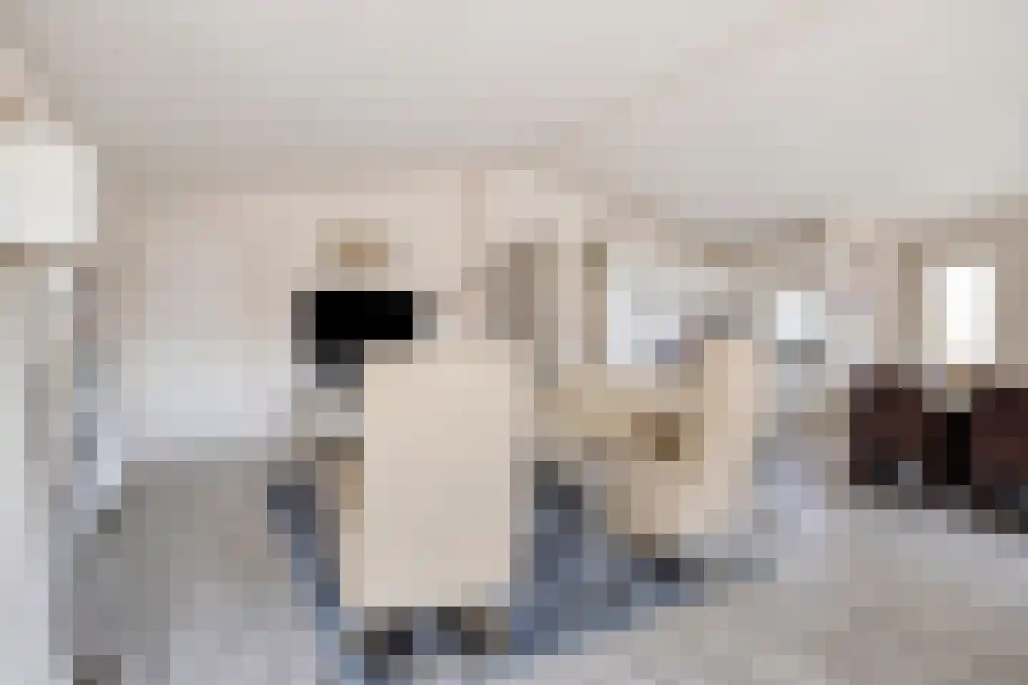Schoneveld 1 I 222 Breskens thumbnail 6