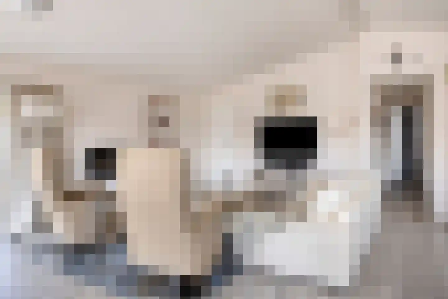 Schoneveld 1 I 222 Breskens thumbnail 8