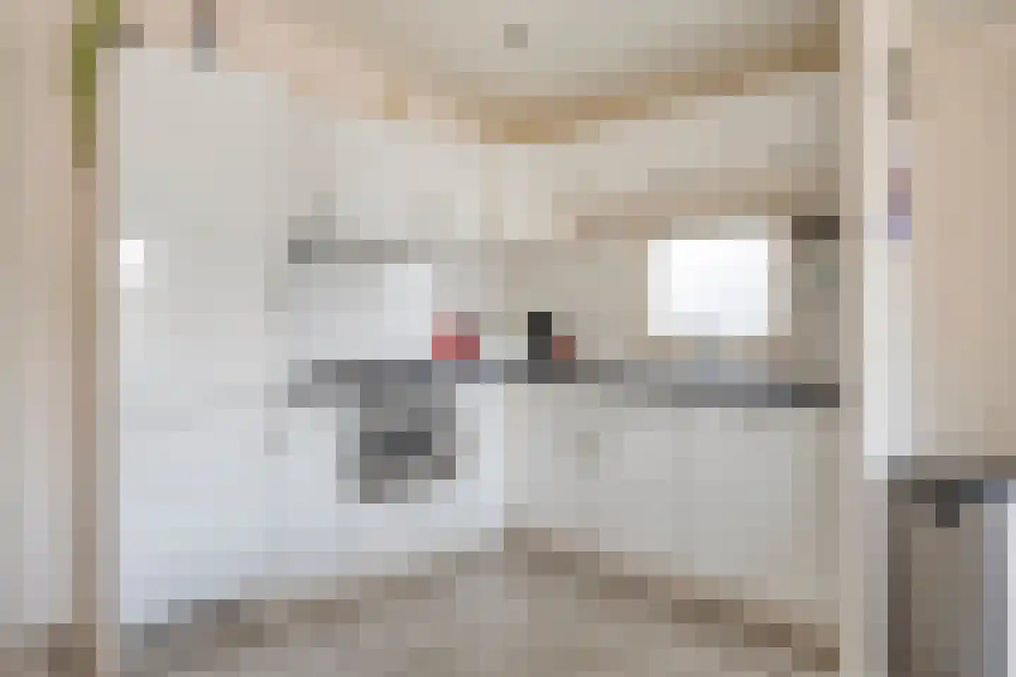 Schoneveld 1 I 222 Breskens thumbnail 9