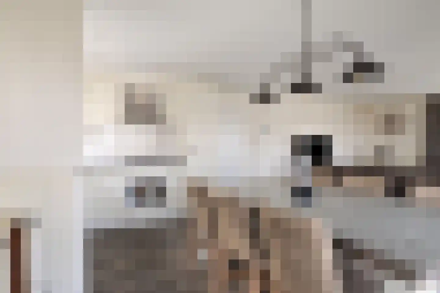Schoneveld 1 J 273 Breskens thumbnail 13