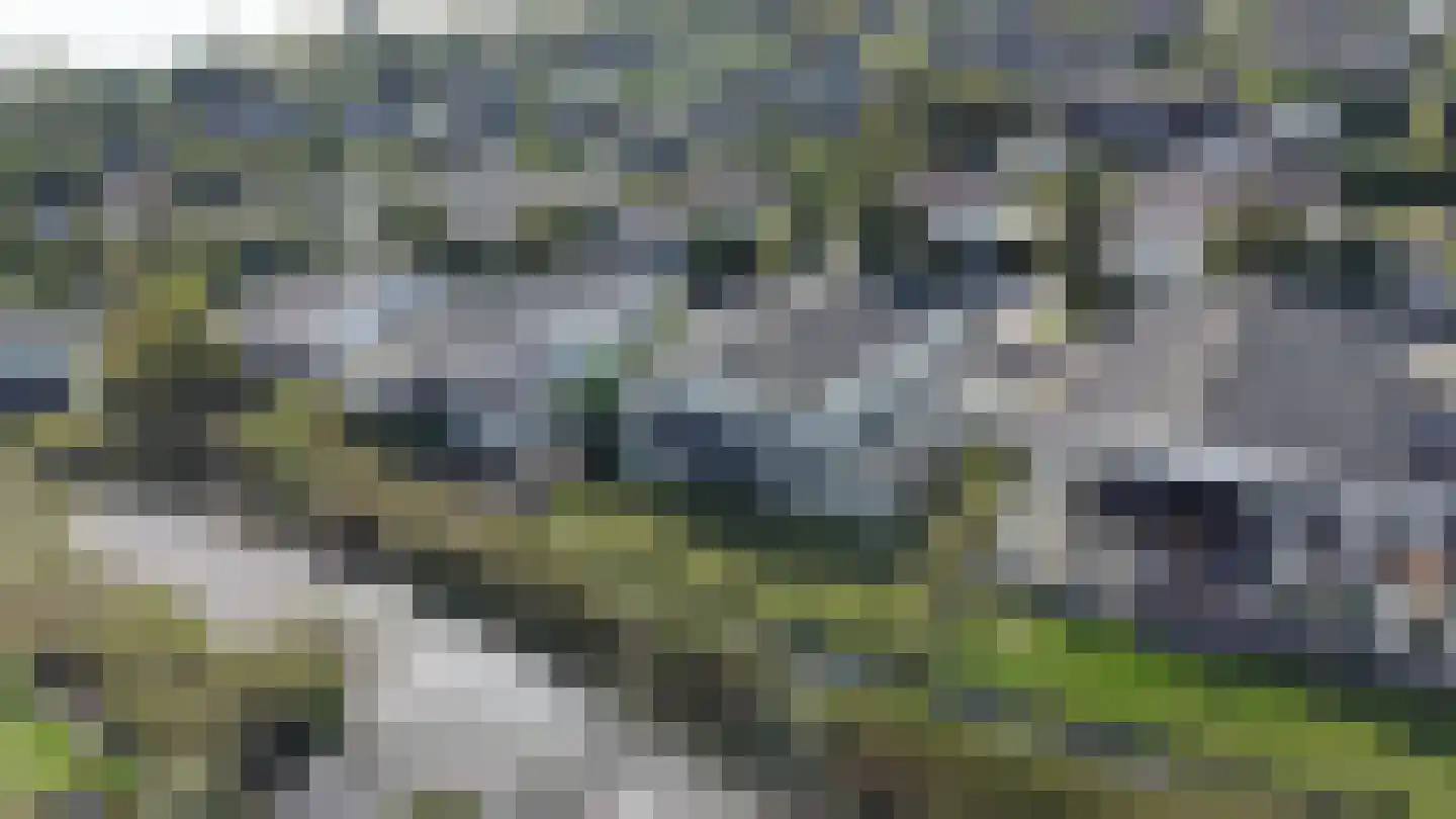 Schoneveld 1 J 273 Breskens thumbnail 26