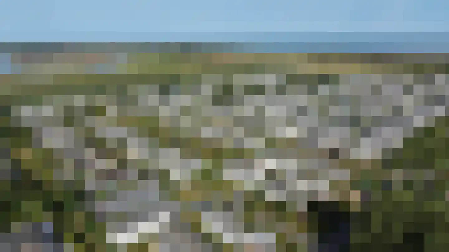 Schoneveld 1 J 273 Breskens thumbnail 32