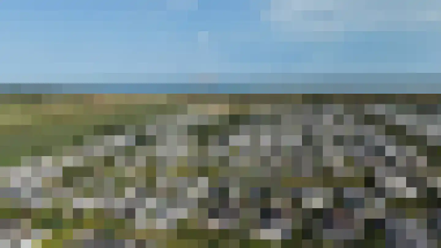 Schoneveld 1 J 273 Breskens thumbnail 33