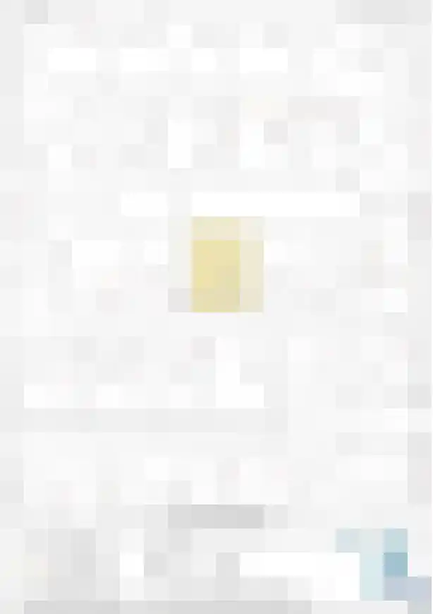 Schoneveld 1 J 273 Breskens thumbnail 36