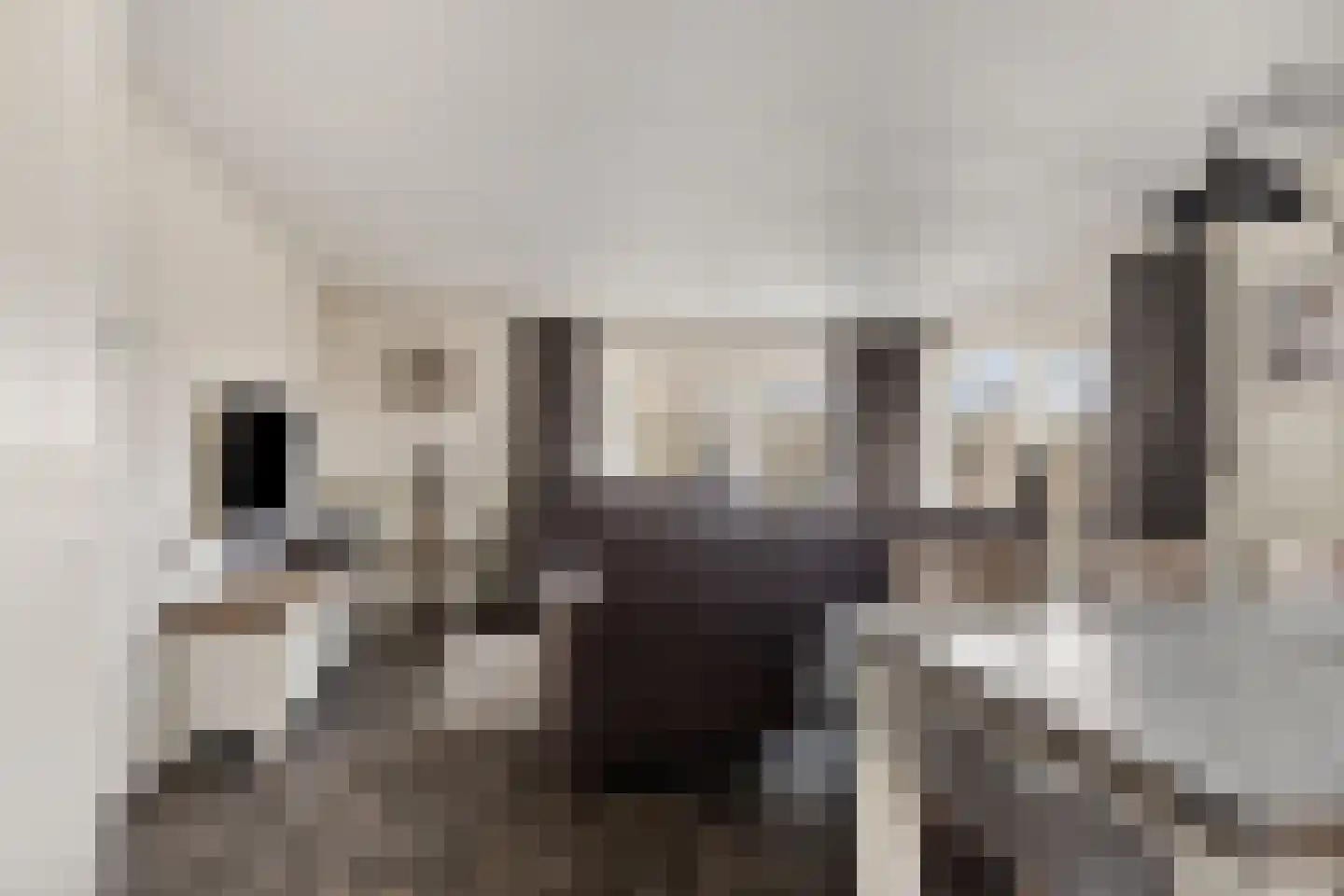 Schoneveld 1 J 273 Breskens thumbnail 7