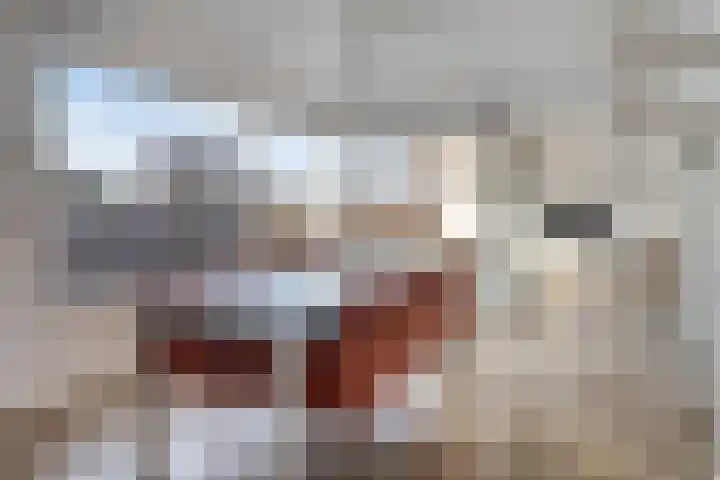 Schoneveld 107 Breskens thumbnail 10