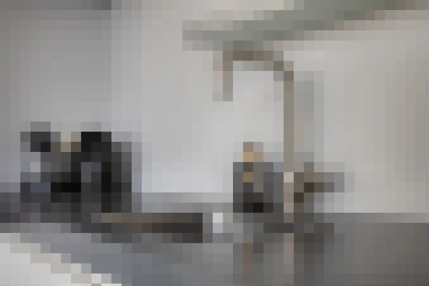 Schoneveld 107 Breskens thumbnail 11