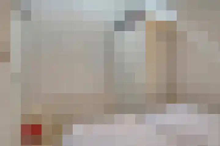 Schoneveld 107 Breskens thumbnail 12