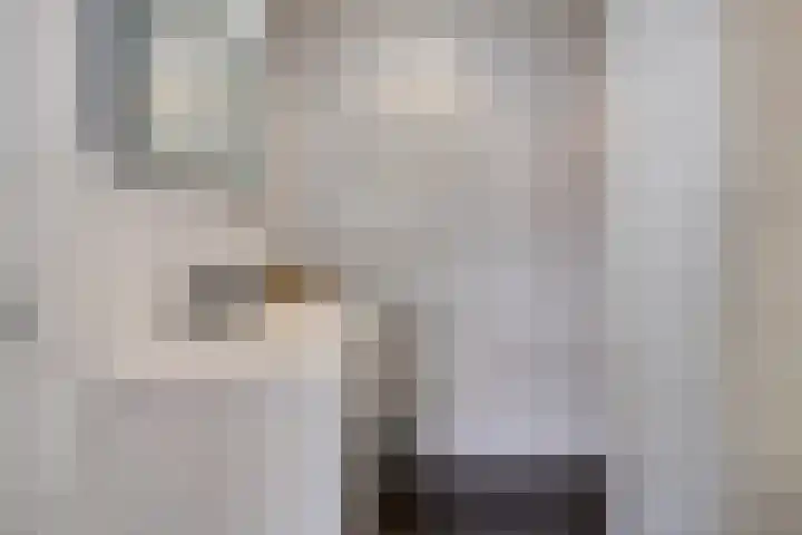 Schoneveld 107 Breskens thumbnail 13