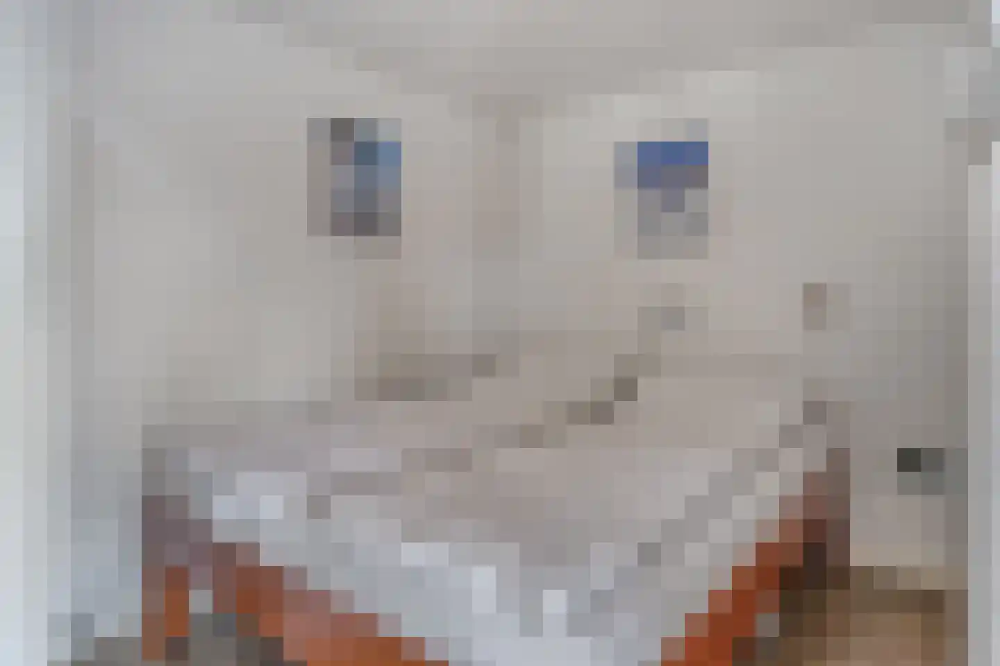 Schoneveld 107 Breskens thumbnail 13
