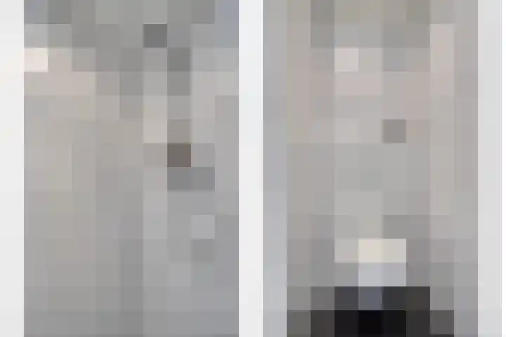 Schoneveld 107 Breskens thumbnail 14