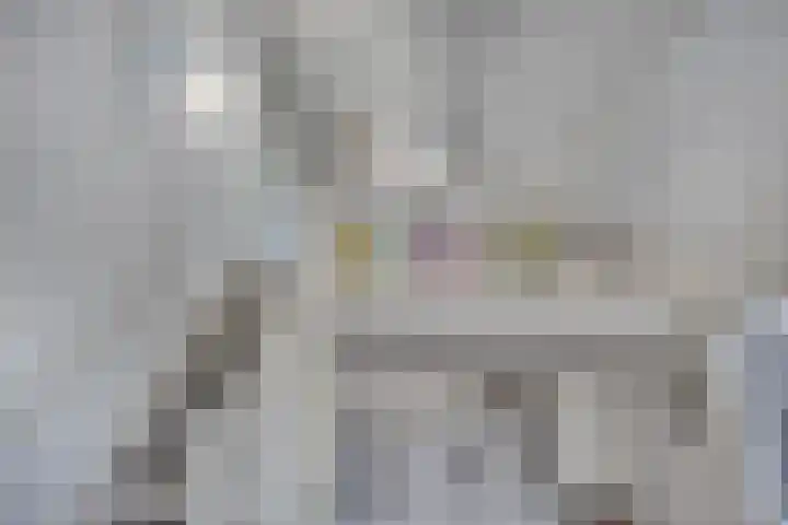 Schoneveld 107 Breskens thumbnail 16