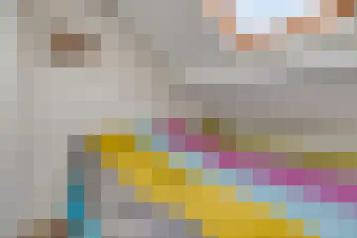 Schoneveld 107 Breskens thumbnail 17