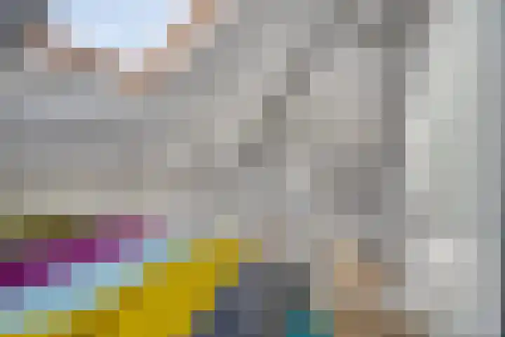 Schoneveld 107 Breskens thumbnail 18