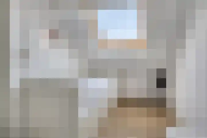 Schoneveld 107 Breskens thumbnail 19
