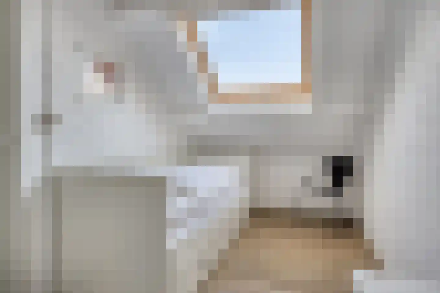 Schoneveld 107 Breskens thumbnail 21