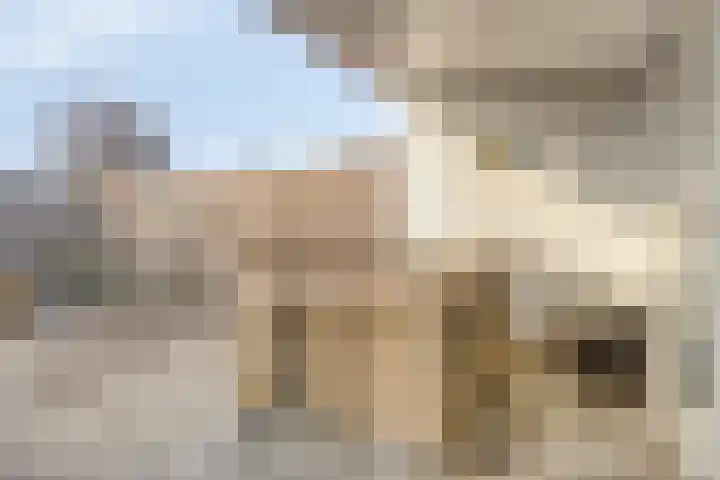 Schoneveld 107 Breskens thumbnail 21