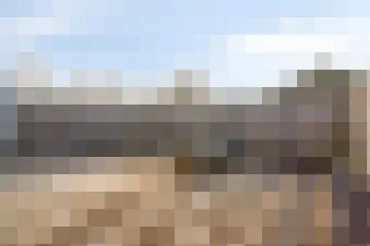 Schoneveld 107 Breskens thumbnail 23