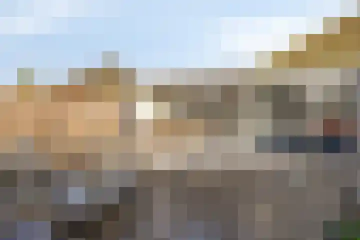 Schoneveld 107 Breskens thumbnail 24