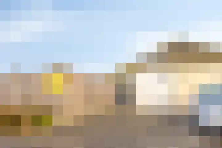 Schoneveld 107 Breskens thumbnail 26