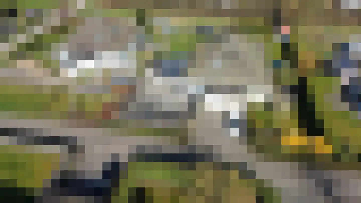 Schoneveld 107 Breskens thumbnail 27