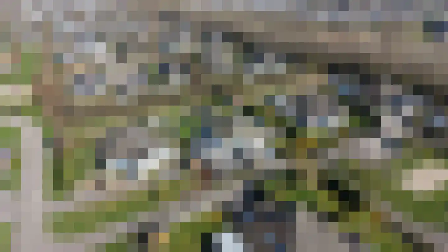 Schoneveld 107 Breskens thumbnail 28