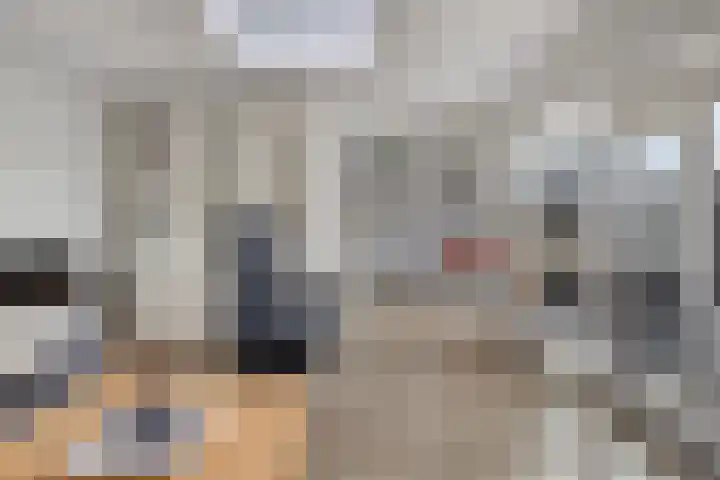 Schoneveld 107 Breskens thumbnail 5