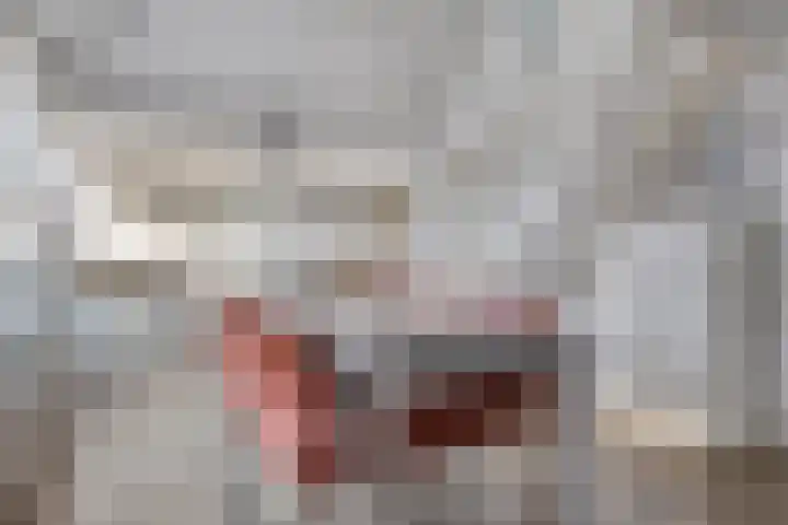 Schoneveld 107 Breskens thumbnail 7