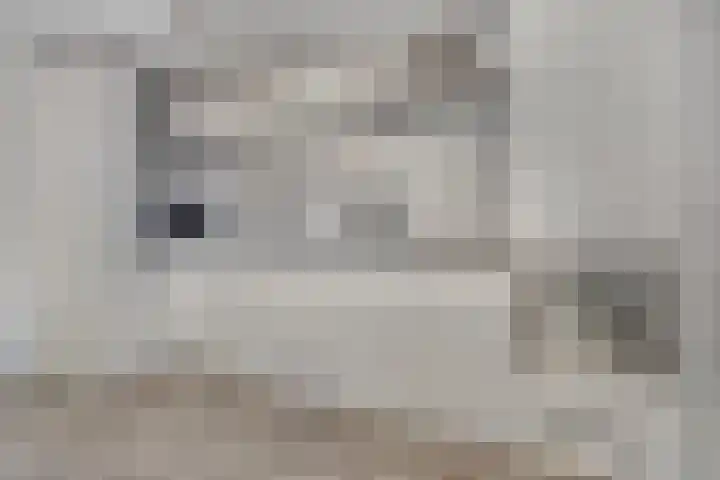 Schoneveld 107 Breskens thumbnail 8