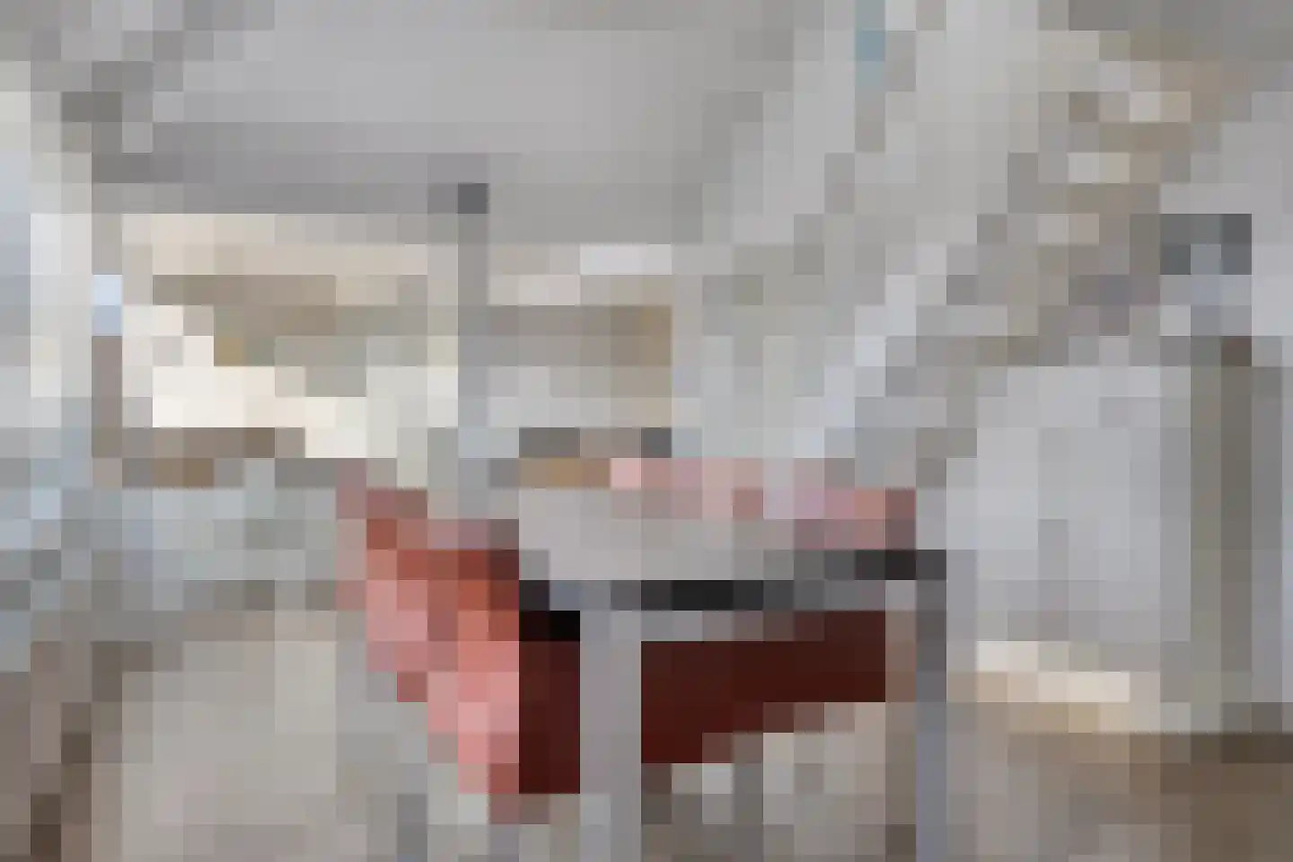Schoneveld 107 Breskens thumbnail 9