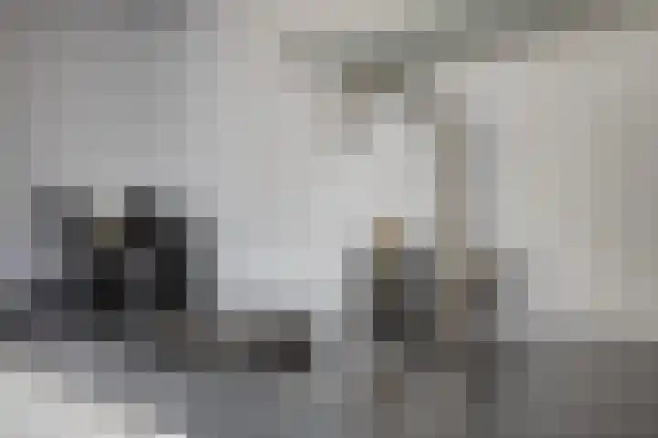 Schoneveld 107 Breskens thumbnail 9