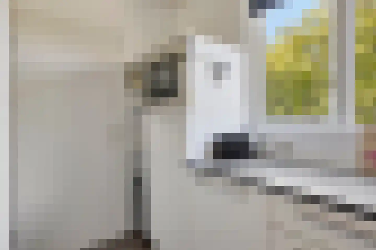 Schoneveld 11 Breskens thumbnail 10
