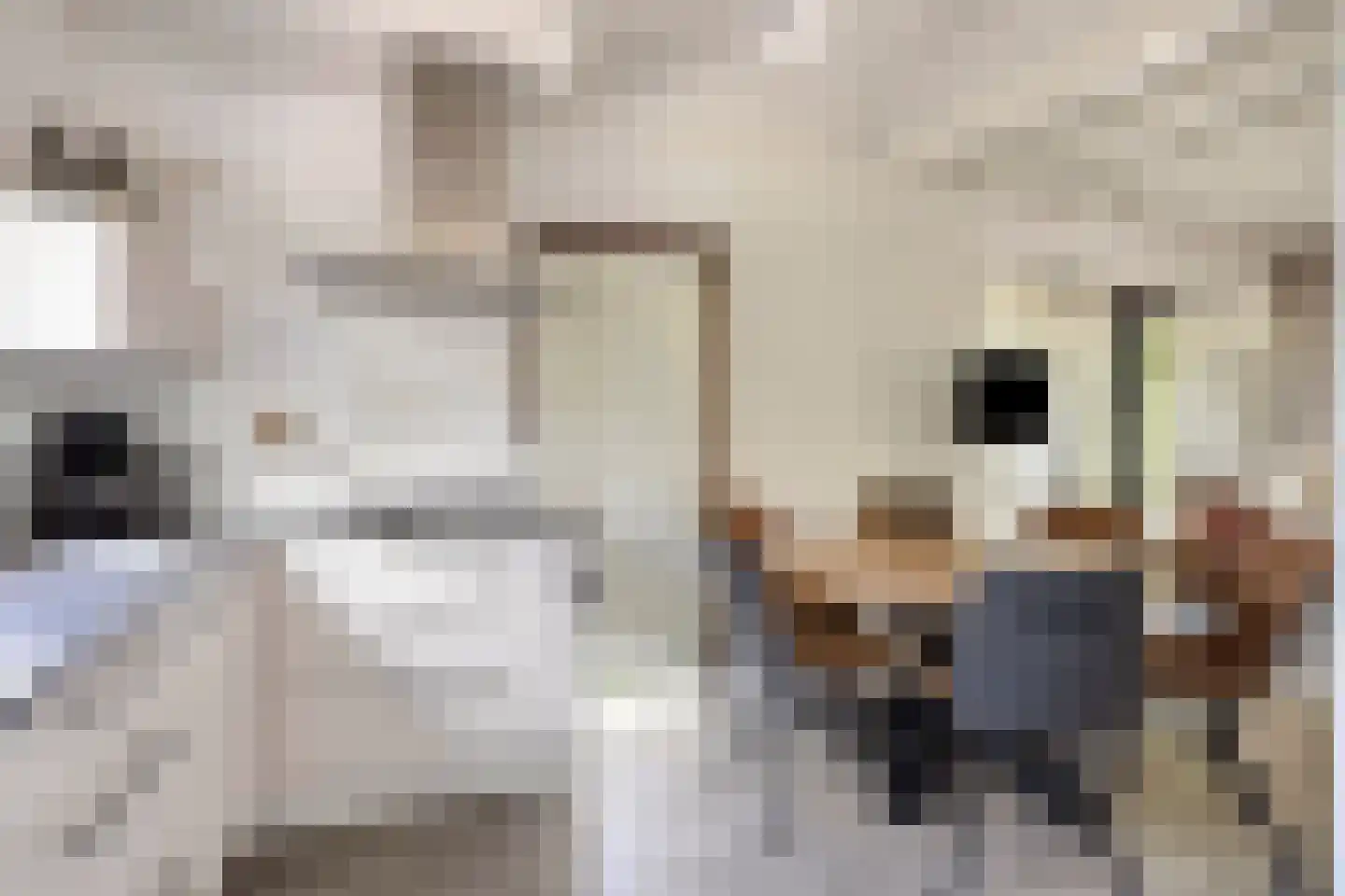 Schoneveld 11 Breskens thumbnail 11