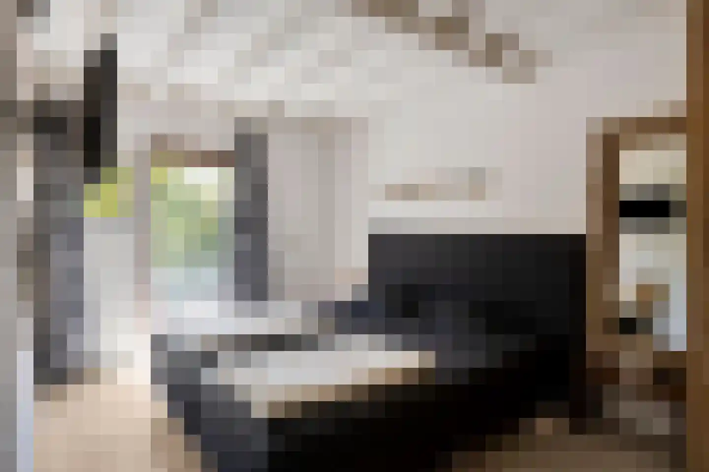 Schoneveld 11 Breskens thumbnail 12