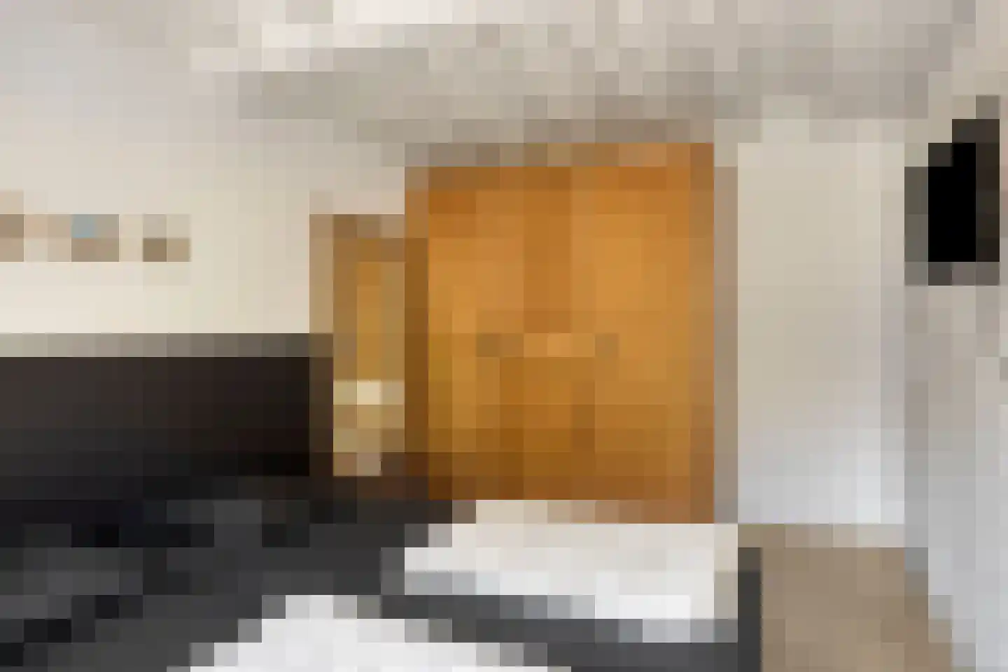 Schoneveld 11 Breskens thumbnail 13
