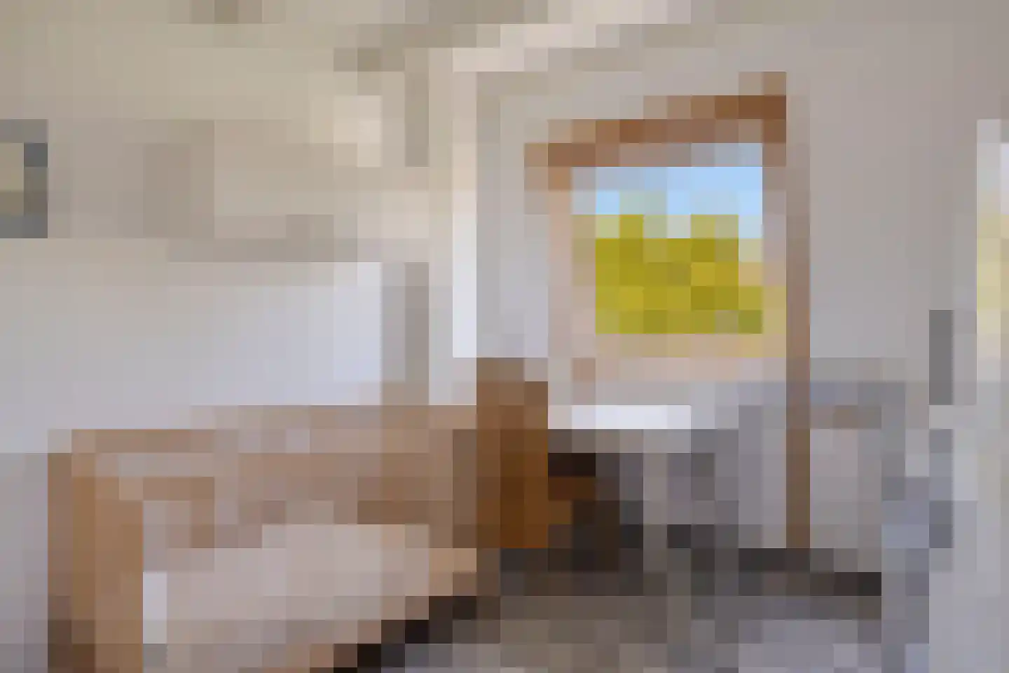 Schoneveld 11 Breskens thumbnail 24