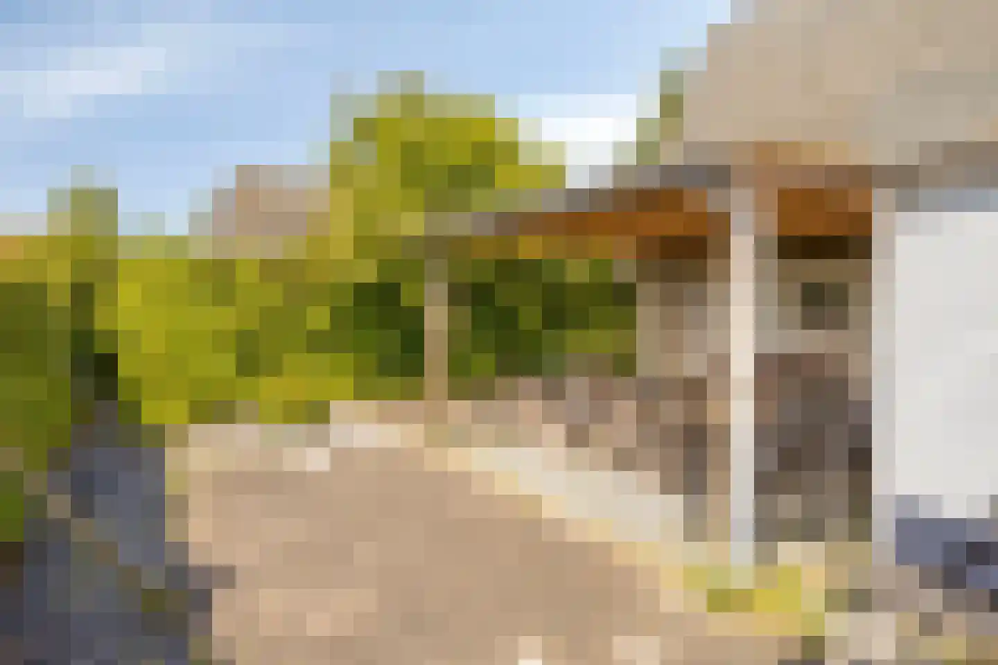 Schoneveld 11 Breskens thumbnail 28