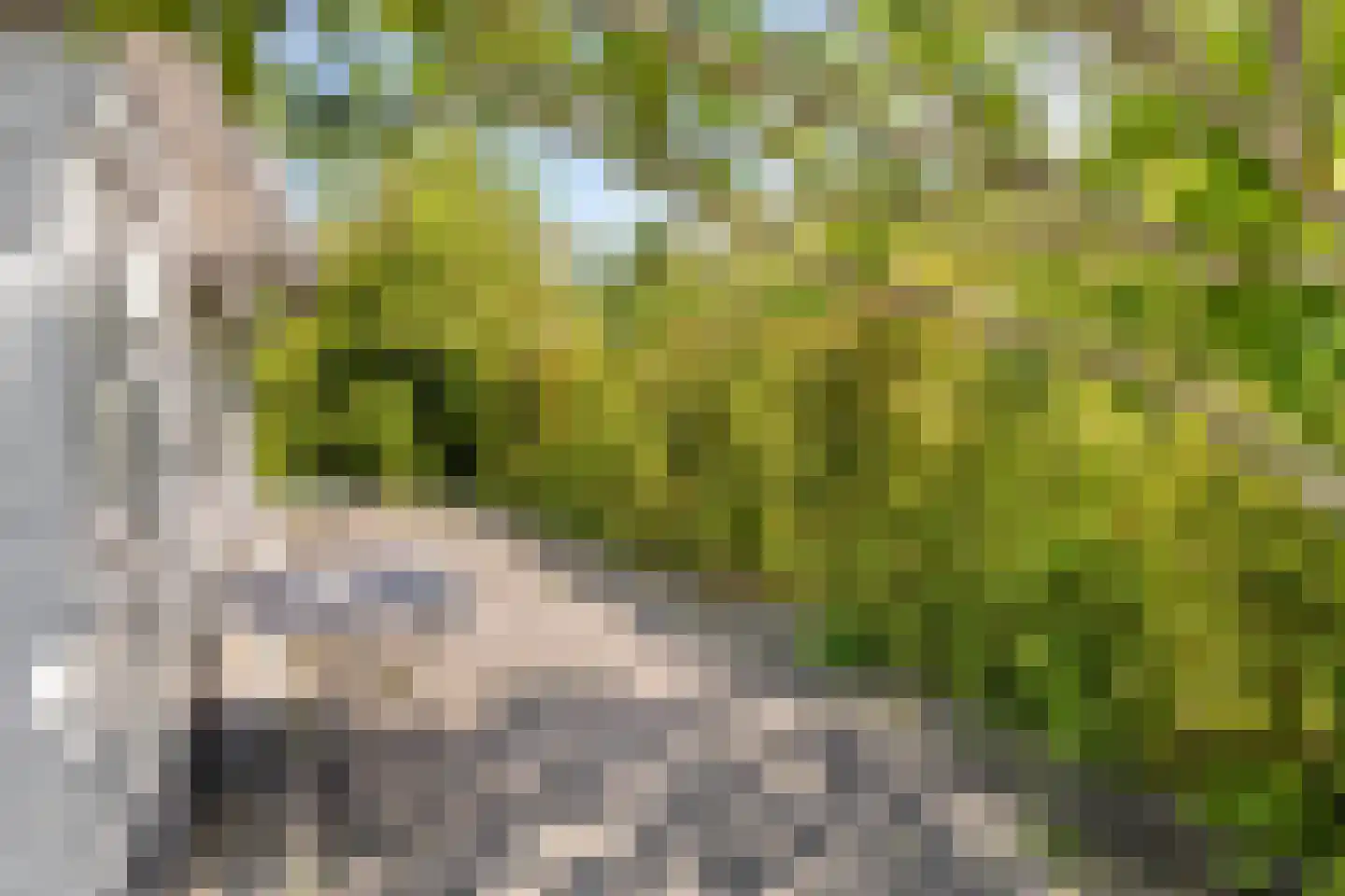 Schoneveld 11 Breskens thumbnail 29