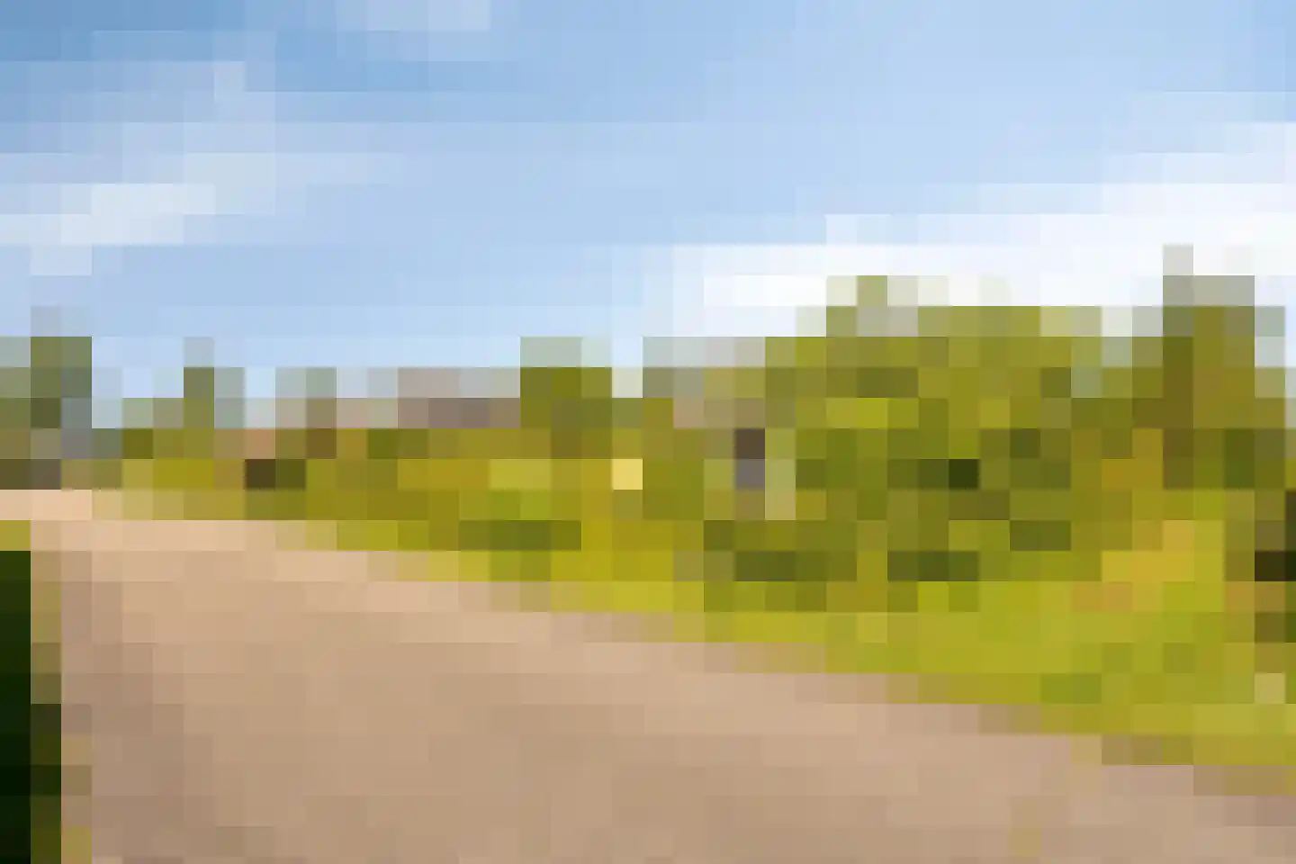 Schoneveld 11 Breskens thumbnail 32