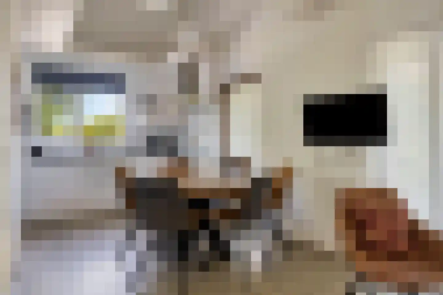 Schoneveld 11 Breskens thumbnail 6
