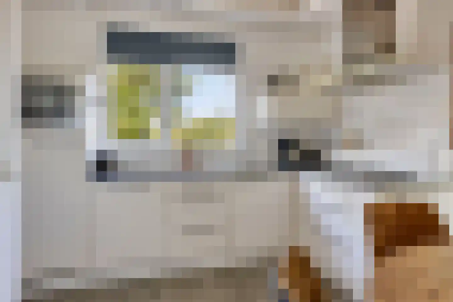 Schoneveld 11 Breskens thumbnail 9
