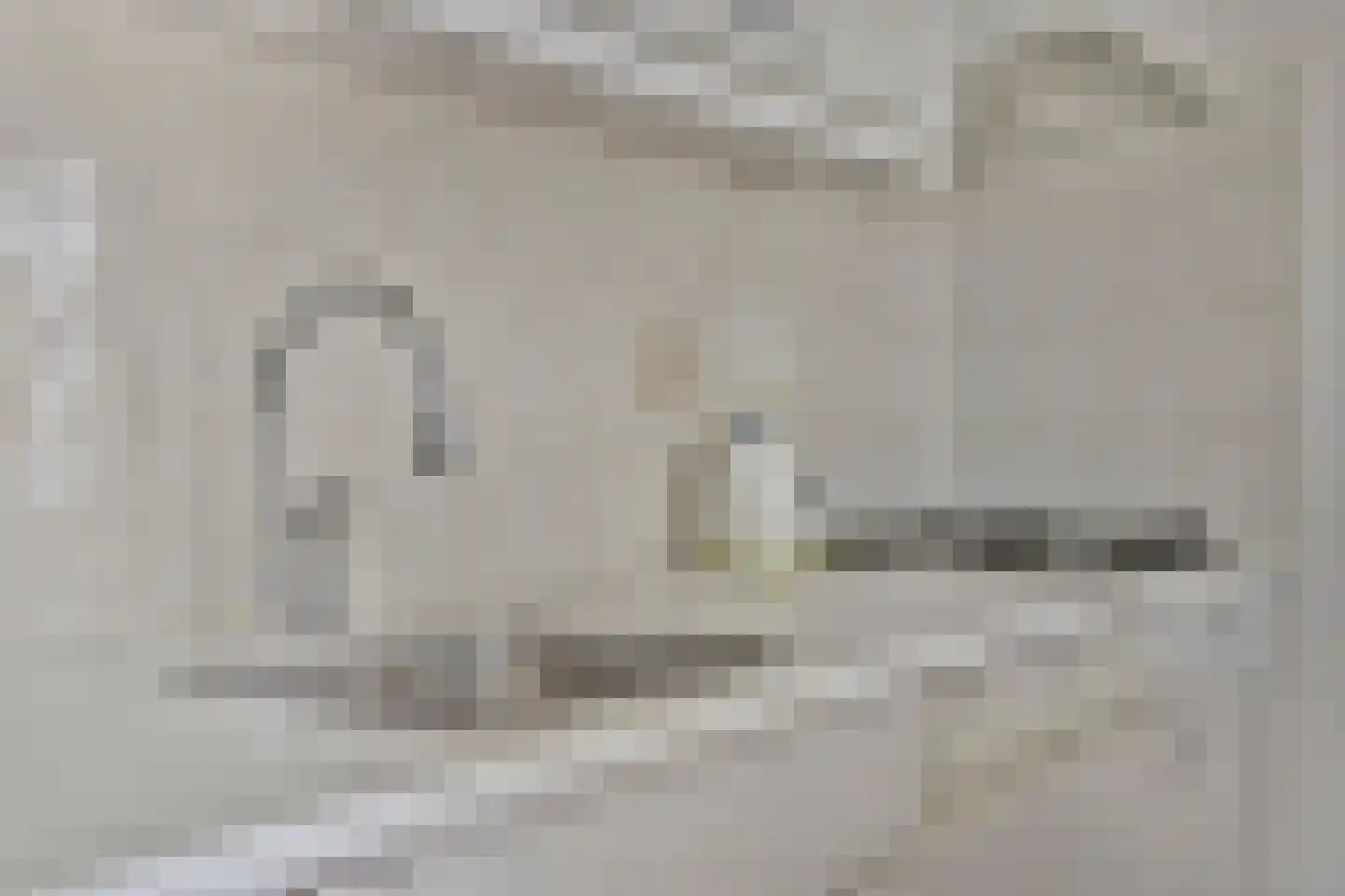 Schoneveld 140 Breskens thumbnail 11