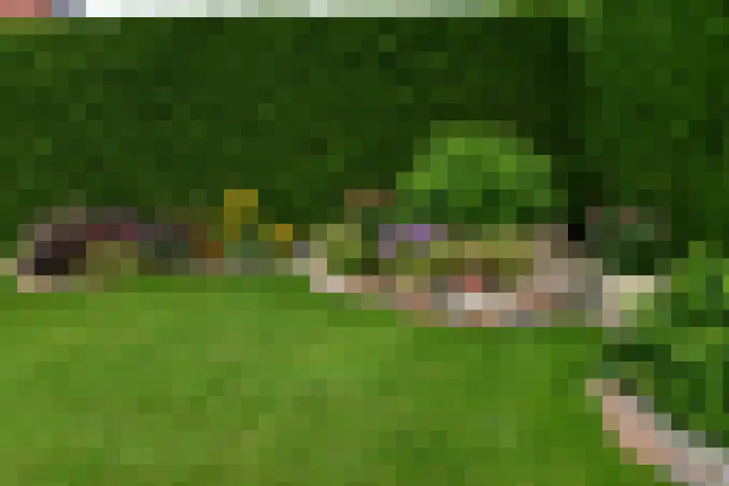 Schoneveld 140 Breskens thumbnail 27