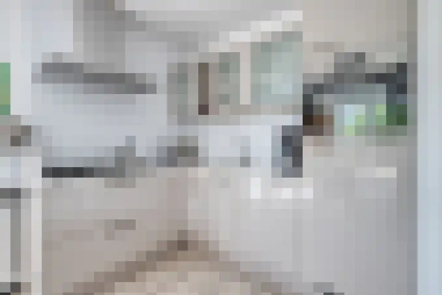 Schoneveld 144 Breskens thumbnail 10